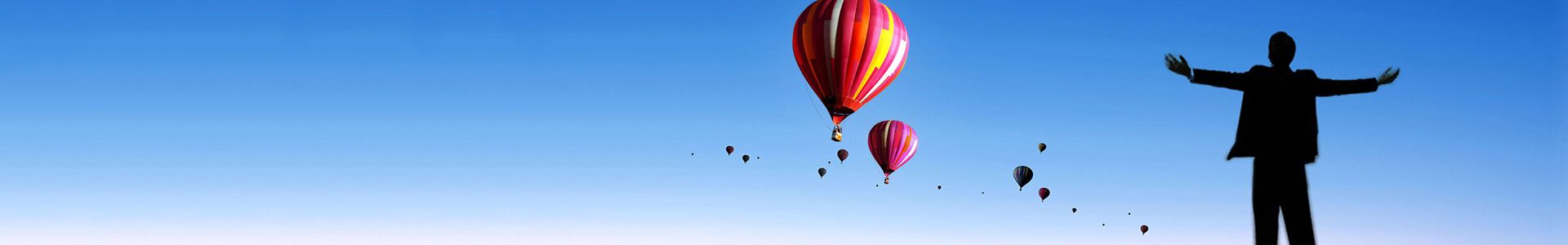 氣動(dòng)真空上料機(jī) 氣動(dòng)真空上料機(jī)